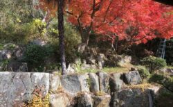 紅葉の訪れ～苫田温泉 泉水デイサービス～