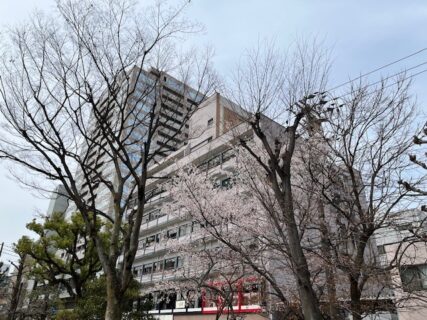 東中山下公園の桜【両備ヘルシーケア柳川】