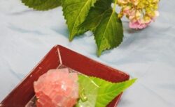 満開の紫陽花～両備ヘルシーケア浜町