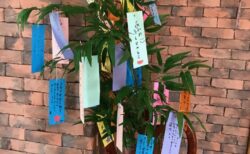 「七夕祭りイベント開催🎋〇〇＆○○すくいで大盛り上がり！」両備ヘルシーケア大安寺東公園前デイサービス