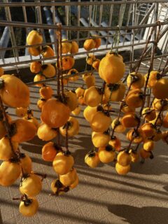 干し柿づくり~サンオークス津山~