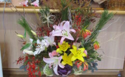 『新年のご挨拶』両備ヘルシーケア玉島柏島