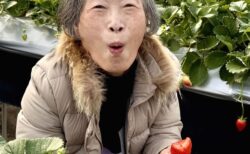 春のいちご狩り【サン・オークス倉敷】