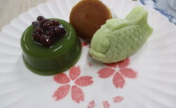 『新年度🌸4月かふぇひなたぼっこOPEN!』両備ヘルシーケア玉島柏島