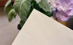 新しく仲間が加わりました【サン・オークス倉敷】