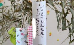 七夕のお願い事🎋≪岡山ケアセンター認知症デイサービス≫