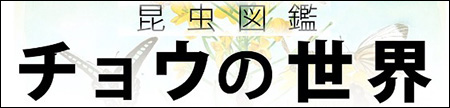チョウの世界