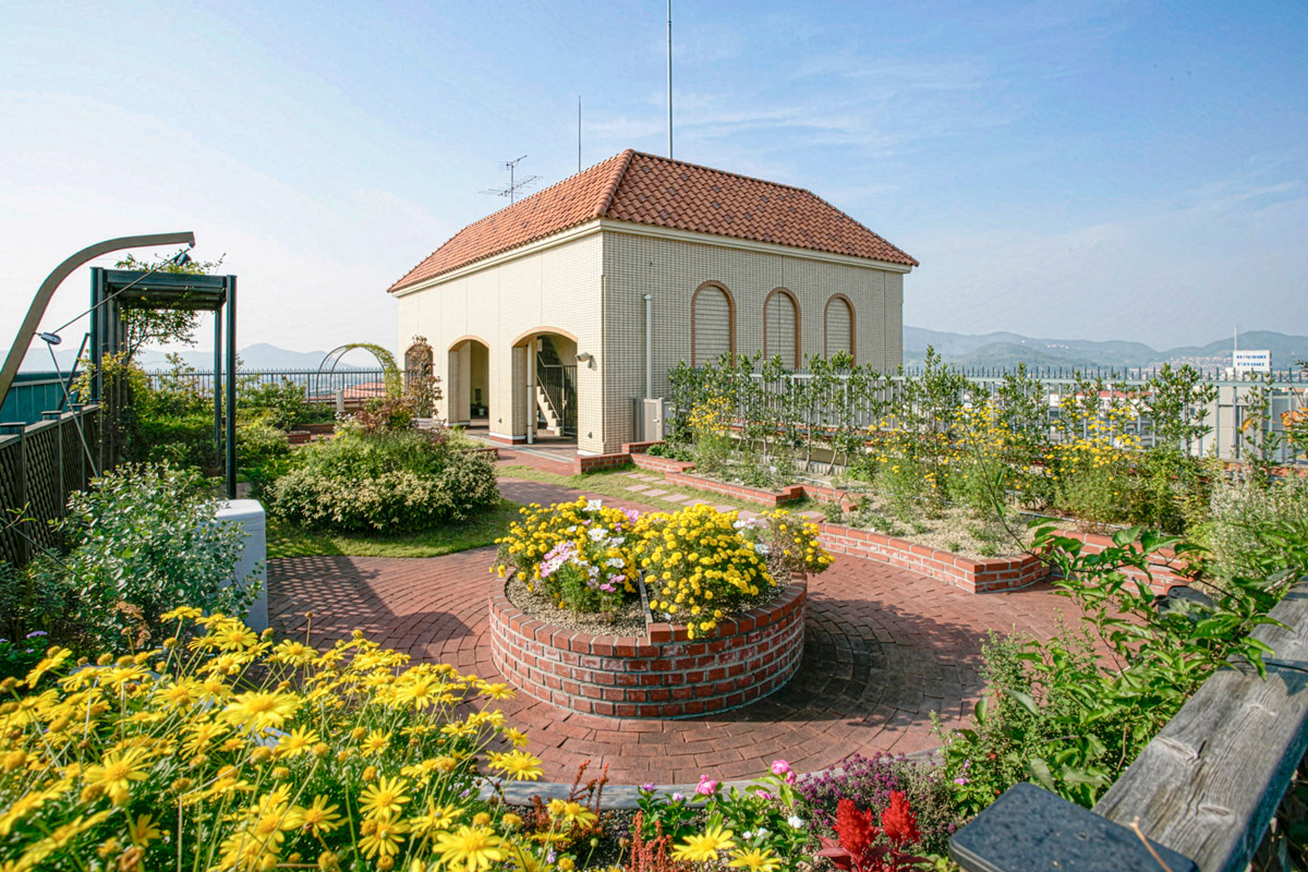 屋上庭園